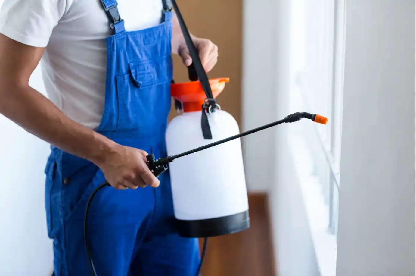 Cleaning & Pest Control
